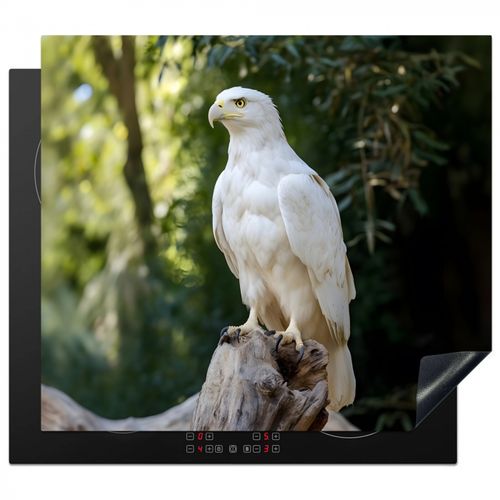 Adler - Holz - Weiß - Pflanzen