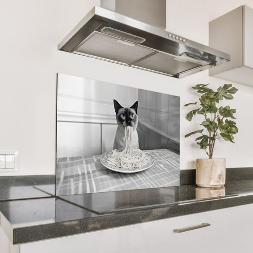 Spritzschutz Küche - Katze - Siamese - Schwarz und weiß - Niedlich - Tiere