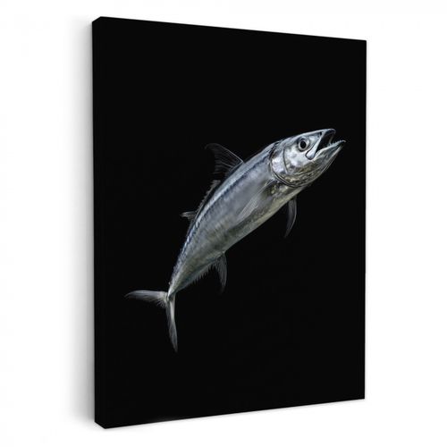 Leinwandbilder - Makrele - Fisch - Schwarz