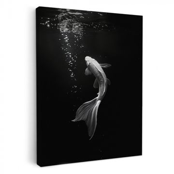 Leinwandbilder - Koi - Fisch - Weiß - Schwarz