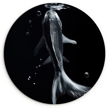 Runde Bilder - Koi - Fisch - Wasser - Schwarz