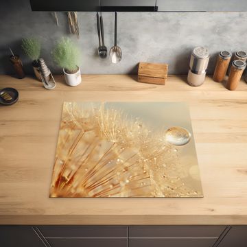 Herdabdeckplatte - Löwenzahn - Wasser - Natur - Pflanzen - Modern