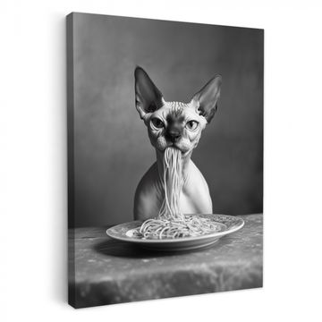 Leinwandbilder - Sphynx - Katze - Tiere - Humor - Spaghetti - Schwarz und Weiß