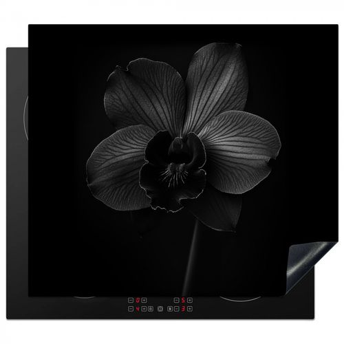 Herdabdeckplatte - Schwarz - Blume - Orchidee