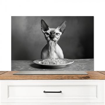 Spritzschutz Küche - Sphynx - Katze - Tiere - Humor - Spaghetti - Schwarz und Weiß
