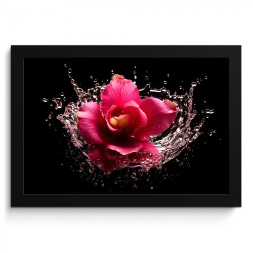 Bilder mit Rahmen - Blumen - Rosa - Wasser - Schwarz - Botanisch - Natur