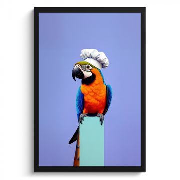 Bilder mit Rahmen - Papagei - Kochmütze - Vogel - Schön