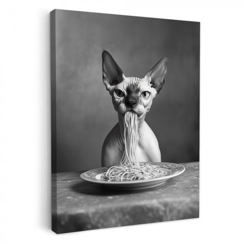 Leinwandbilder - Sphynx - Katze - Tiere - Humor - Spaghetti - Schwarz und Weiß