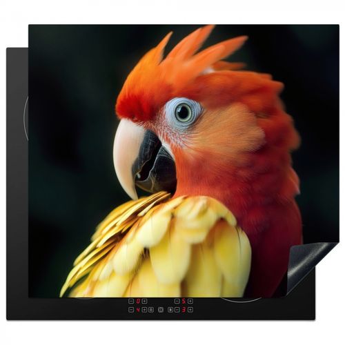 Nahaufnahme - Papagei - Federn - Orange