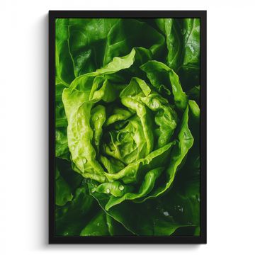 Bilder mit Rahmen - Gemüse - Kopfsalat - Grün