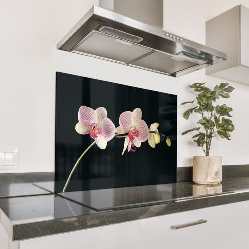 Spritzschutz Küche - Gestreifte Orchidee Eleganz