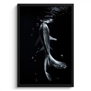 Bilder mit Rahmen - Koi - Fisch - Wasser - Schwarz