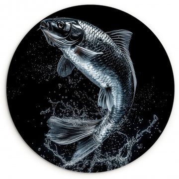 Runde Bilder - Fische - Koi - Schwarz - Wasser