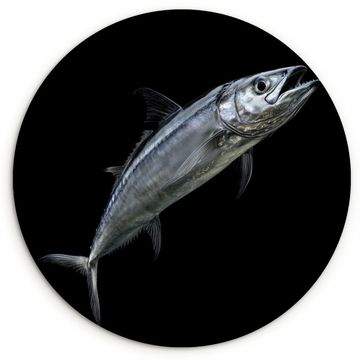Runde Bilder - Makrele - Fisch - Schwarz