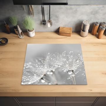 Herdabdeckplatte - Löwenzahn - Wassertropfen - Stilleben - Modern