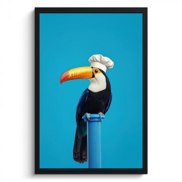 Bilder mit Rahmen - Tukan - Sockel - Vogel - Kochmütze
