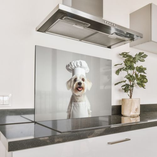 Spritzschutz Küche - Hund - Weiß - Koch