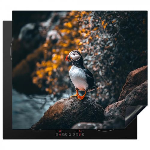 Papagei - Vogel - Felsen - Weiß