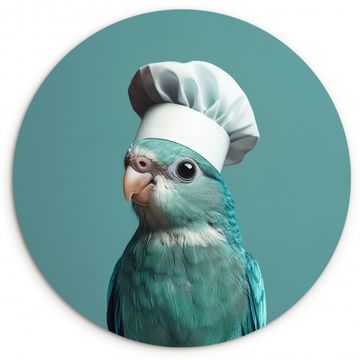 Runde Bilder - Sittich - Vogel - Kochmütze - Niedlich