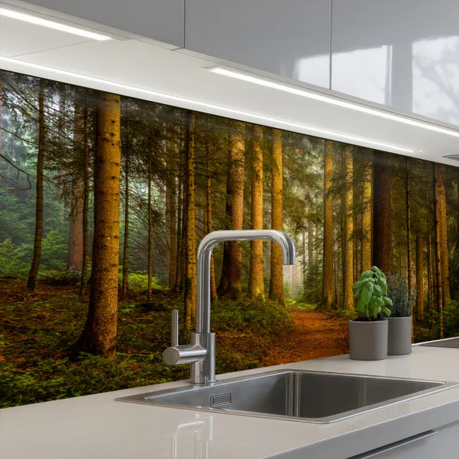 Bos - Natuur - Bomen - Landschap - Bladeren keuken achterwand 2 middel -3d_schuin