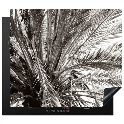 Herdabdeckplatte - Monochromes Palmendach