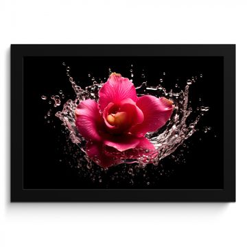 Bilder mit Rahmen - Blumen - Rosa - Wasser - Schwarz - Botanisch - Natur