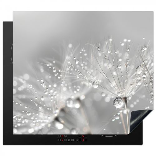 Herdabdeckplatte - Löwenzahn - Wassertropfen - Stilleben - Modern