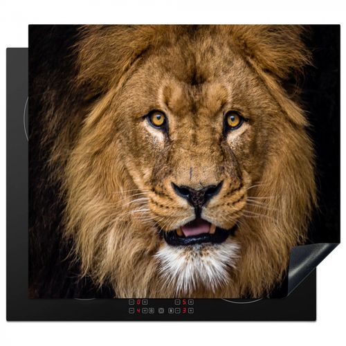 Herdabdeckplatte - Das Gesicht der Serengeti