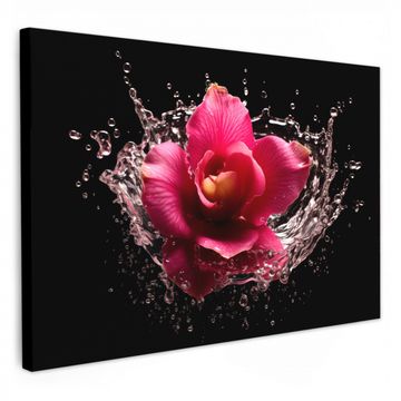 Leinwandbilder - Blumen - Rosa - Wasser - Schwarz - Botanisch - Natur