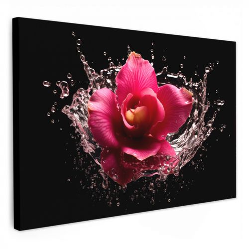 Leinwandbilder - Blumen - Rosa - Wasser - Schwarz - Botanisch - Natur