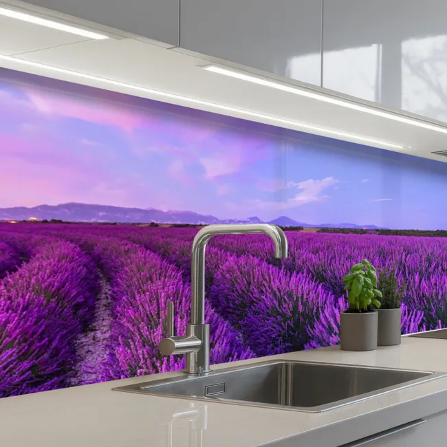 Küchenrückwand - Lavendel - Lila - Blumen - Natur