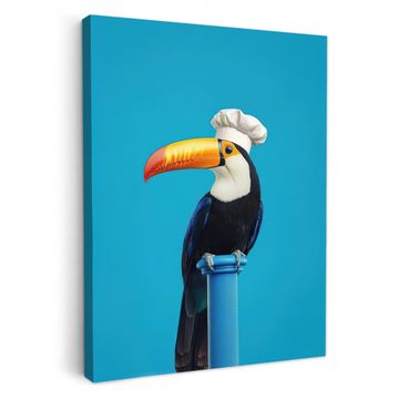 Leinwandbilder - Tukan - Sockel - Vogel - Kochmütze