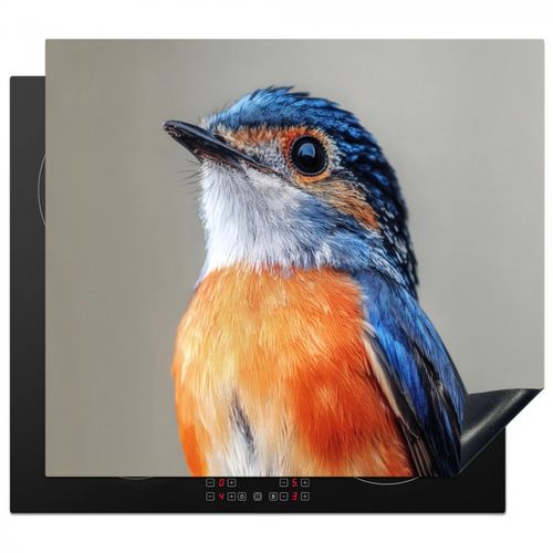 Bunt - Vogel - Federn - Blau