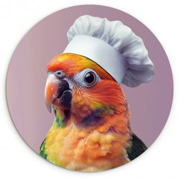 Runde Bilder - Papagei - Kochmütze - Neugierig - Vogel