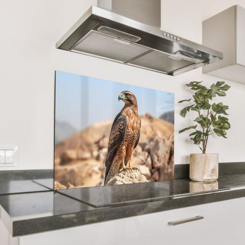 Falke - Vogel - Fels - Macht