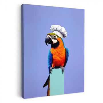 Leinwandbilder - Papagei - Kochmütze - Vogel - Schön