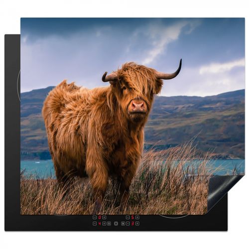 Herdabdeckplatte - Highlander an der Küste