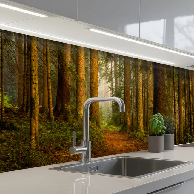 Küchenrückwand - Wald - Natur - Bäume - Landschaft - Laub