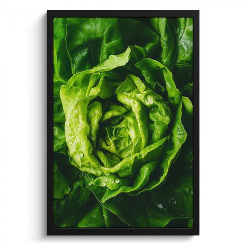 Bilder mit Rahmen - Gemüse - Kopfsalat - Grün