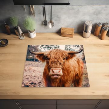 Herdabdeckplatte - Blick vom Rustic Giant