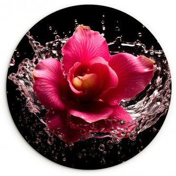 Runde Bilder - Blumen - Rosa - Wasser - Schwarz - Botanisch - Natur