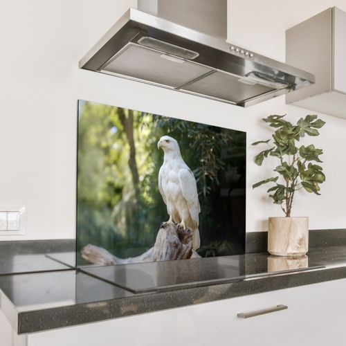 Adler - Holz - Weiß - Pflanzen