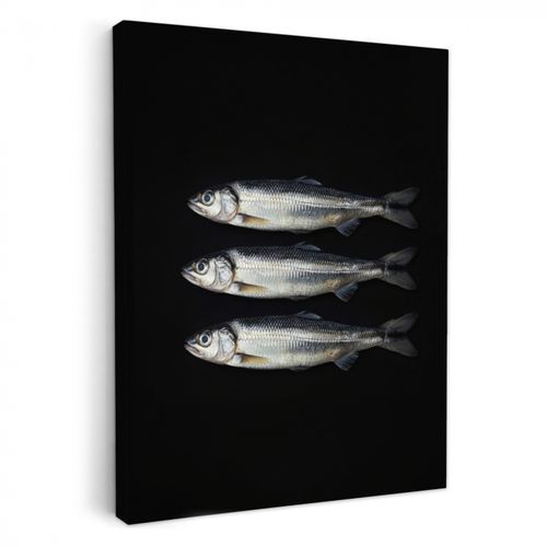 Leinwandbilder - Hering - Fisch - Schwarz
