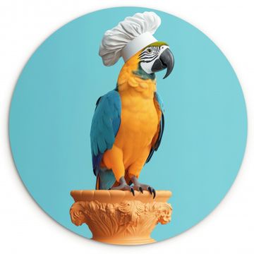 Runde Bilder - Papagei - Kochmütze - Lustig - Vogel