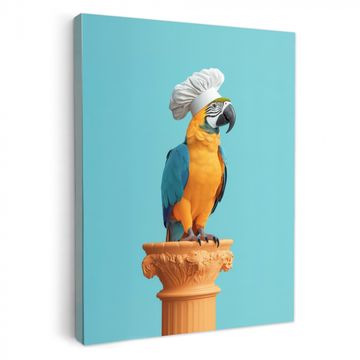 Leinwandbilder - Papagei - Kochmütze - Lustig - Vogel