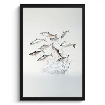 Bilder mit Rahmen - Fisch - Wasser - Weiß