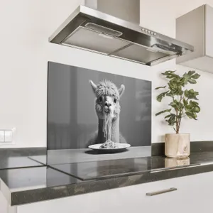 Spritzschutz Küche - Alpaka - Nudeln - Schwarz - Weiß - Lustig - Tiere