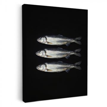 Leinwandbilder - Hering - Fisch - Schwarz