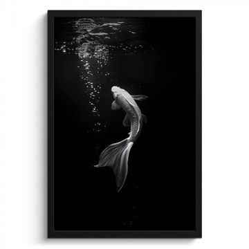 Bilder mit Rahmen - Koi - Fisch - Weiß - Schwarz