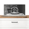 Wasbeer - Cute - Pasta - Tafelkleed - Zwart - Wit Spatscherm Aluminium klein -3d_zonderpan